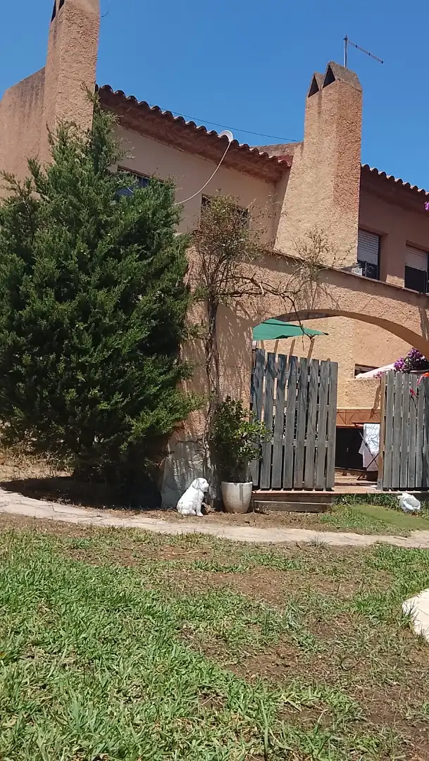 Casa adosada en  Avinguda de Casalot 43 - Foto 2