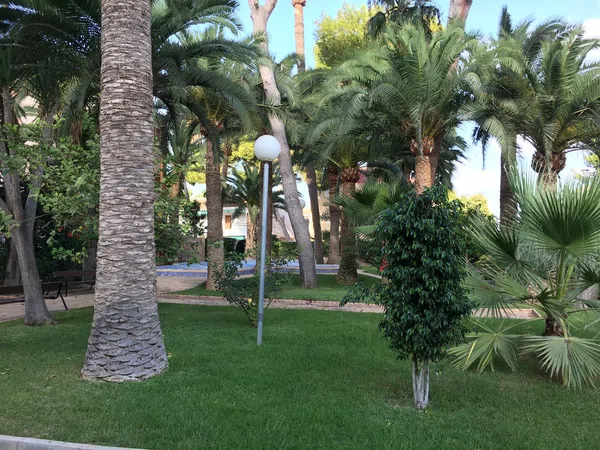 Piso en Carril de las Palmeras, 11, Santiago de la Ribera, Santiago de la Ribera - Foto 15