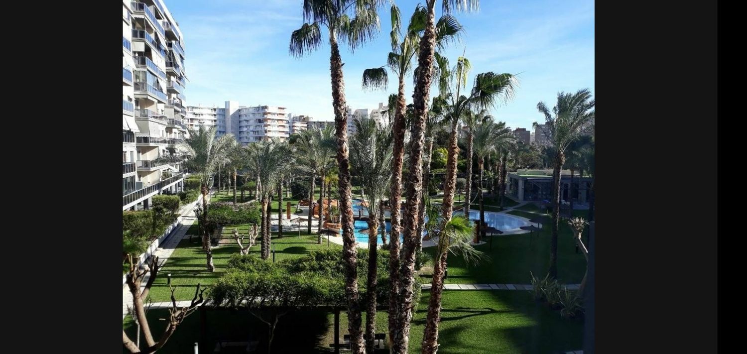 Piso en Historiador Vicente Ramos, 23 - Foto 2