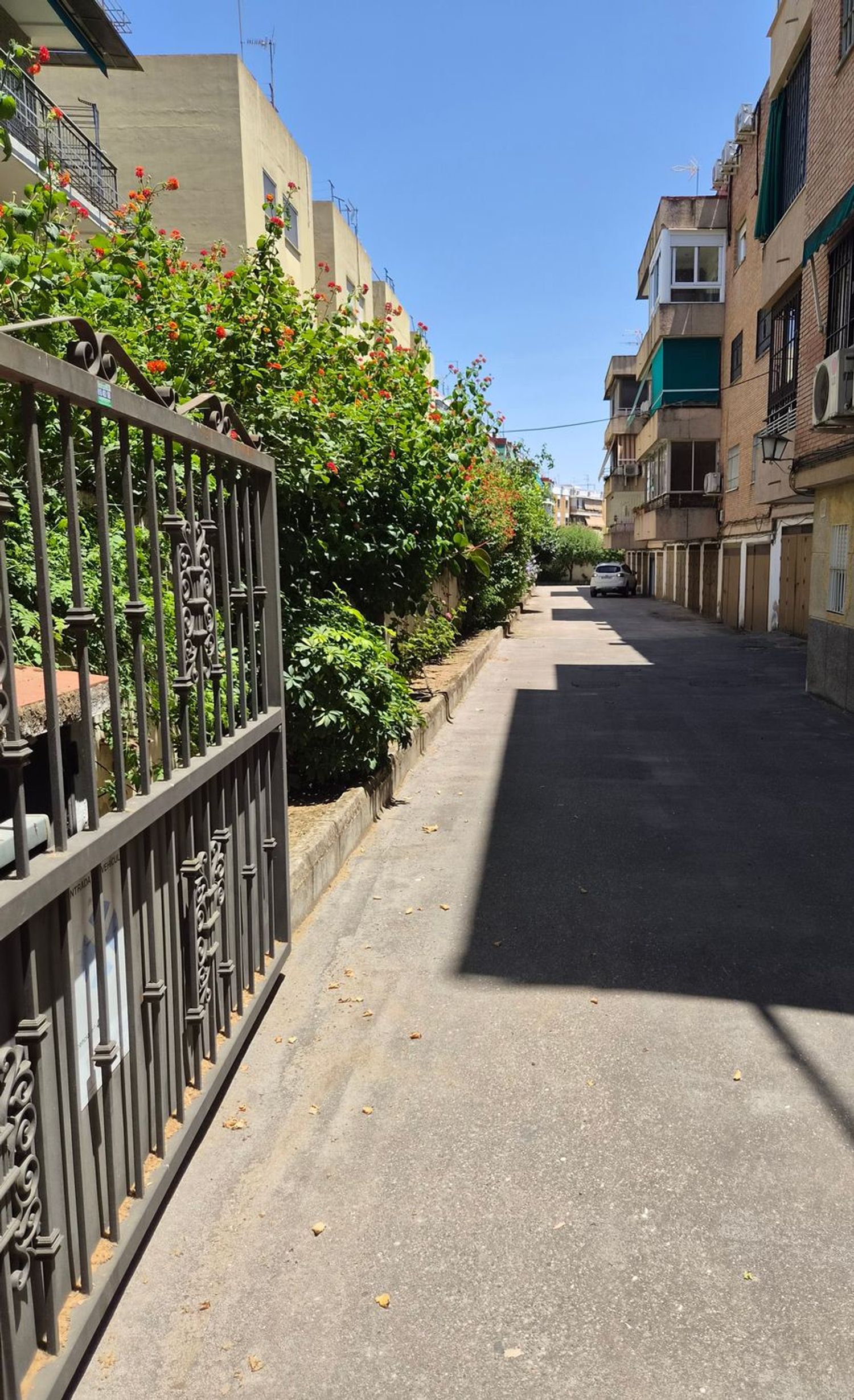 Piso en Calle el Nogal, 8, Santa Rosa - San José - Foto 5