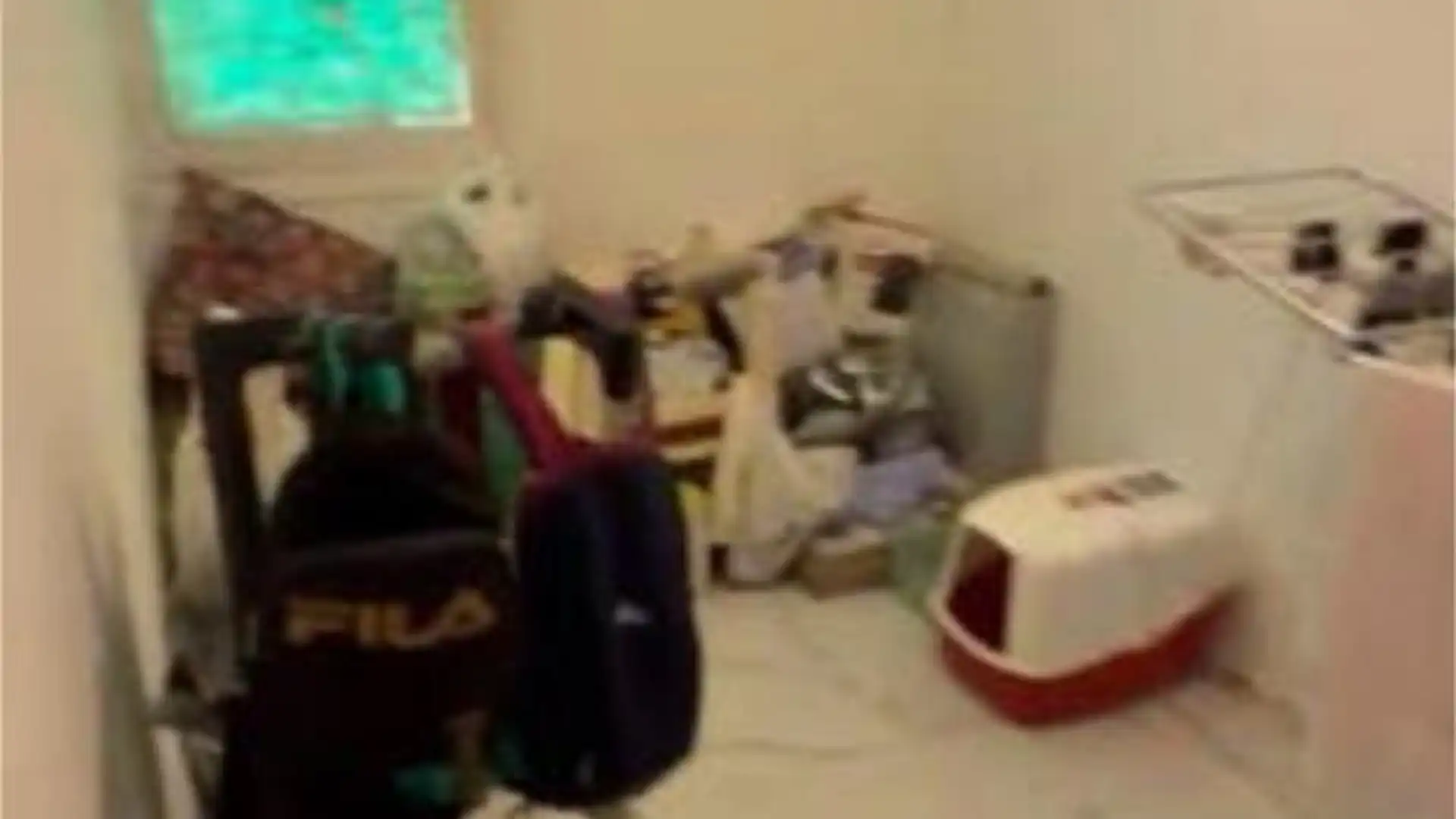 Piso en Centro - Foto 4