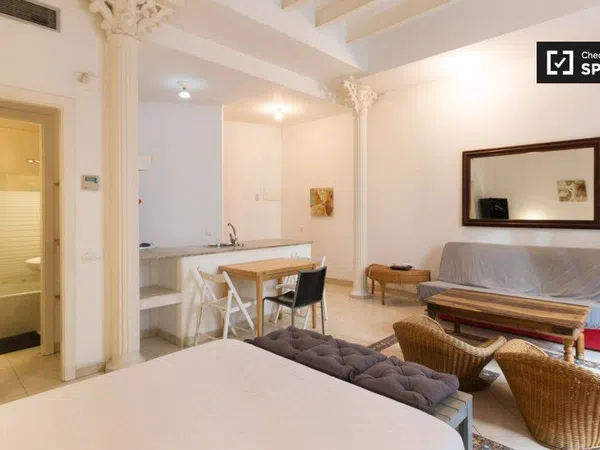 Estudio en Rambla La, El Raval - Foto 10