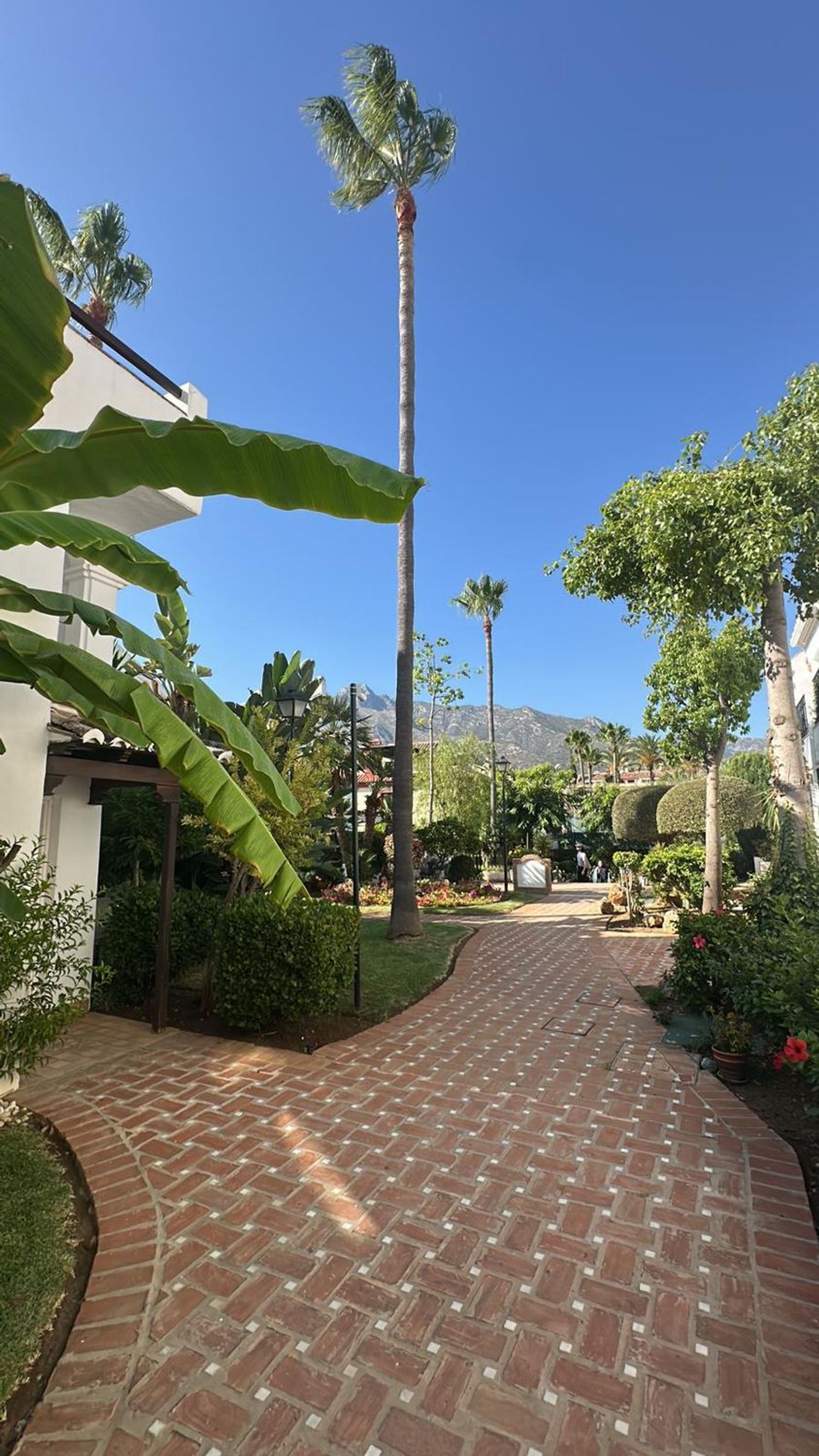 Chalet adosado en calle Cecilia Böhl de Faber, 3 - Foto 21