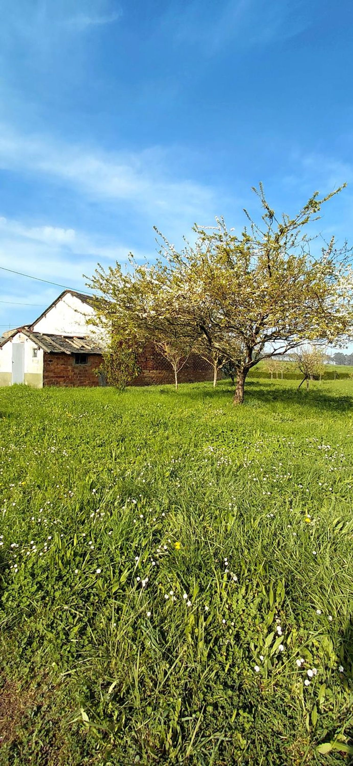 Casa de pueblo en Camino Paderne, 415 - Foto 5