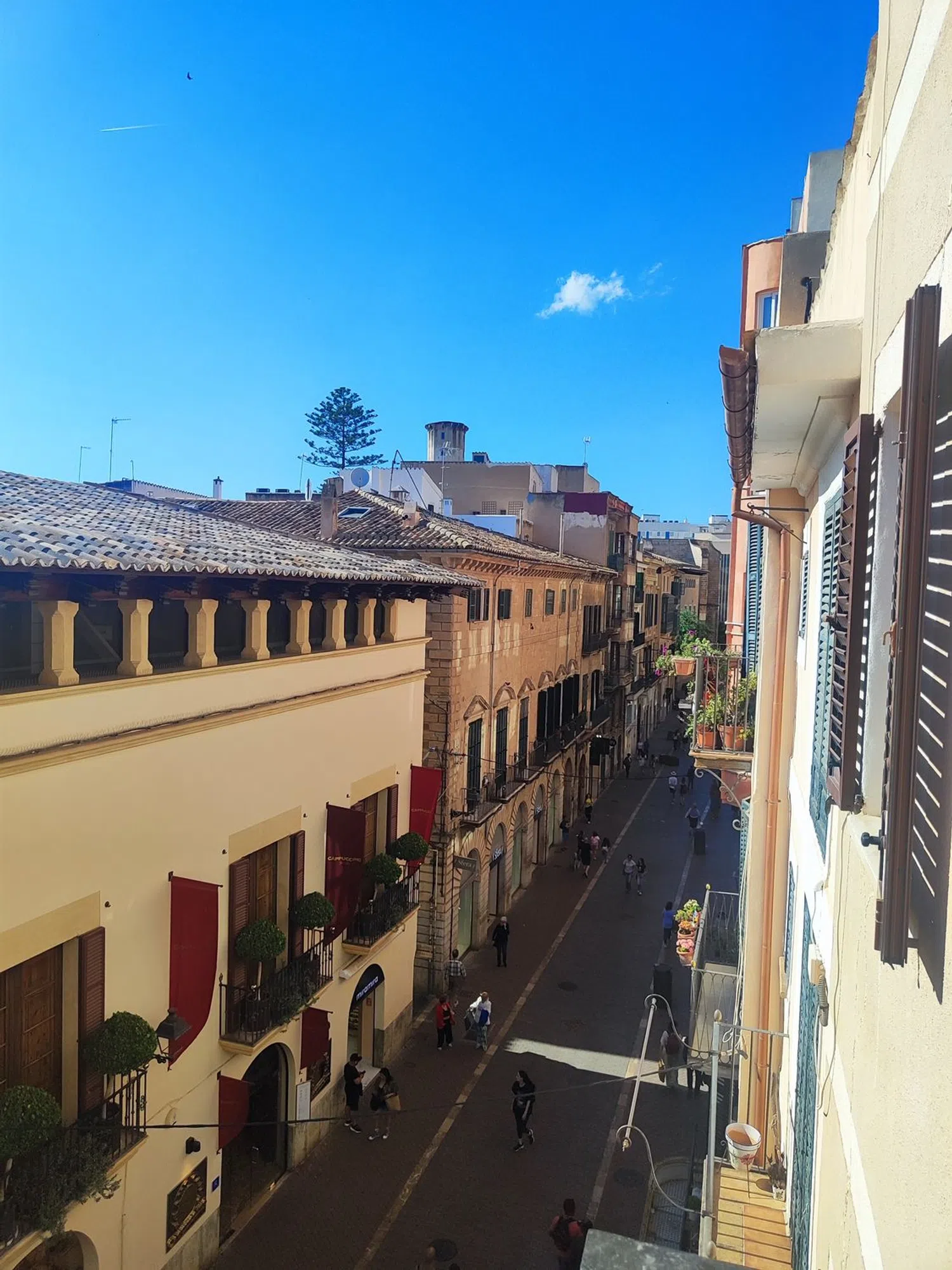 Piso en calle de Sant Miquel, 38 - Foto 21