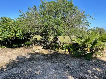 Finca rústica en - Foto 4