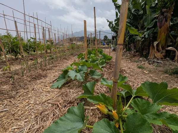 Casa rural en camino Carril, 39 - Foto 20