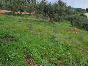 Finca rústica en  Diseminado el Cerval Pol 15 34B - Foto 10