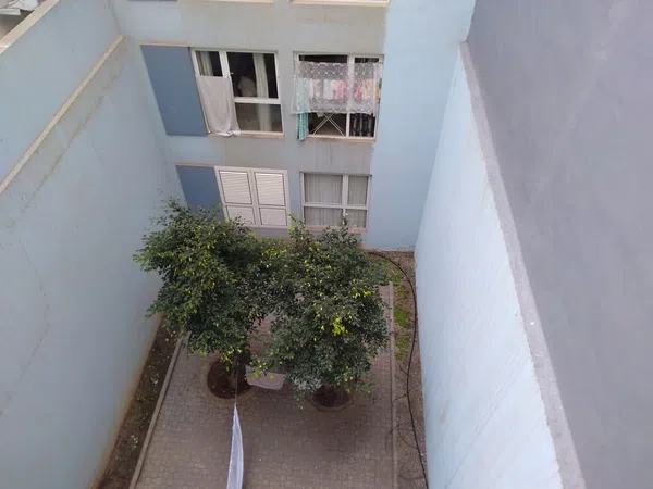 Piso en Calle Doctor Miguel Rosas, 37, Santa Catalina - Canteras - Foto 12
