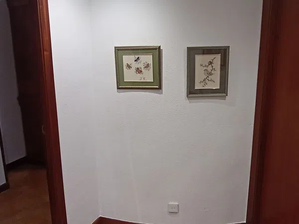 Piso en Calle Pedro I, 12, Echavacoiz, Echavacoiz - Foto 2