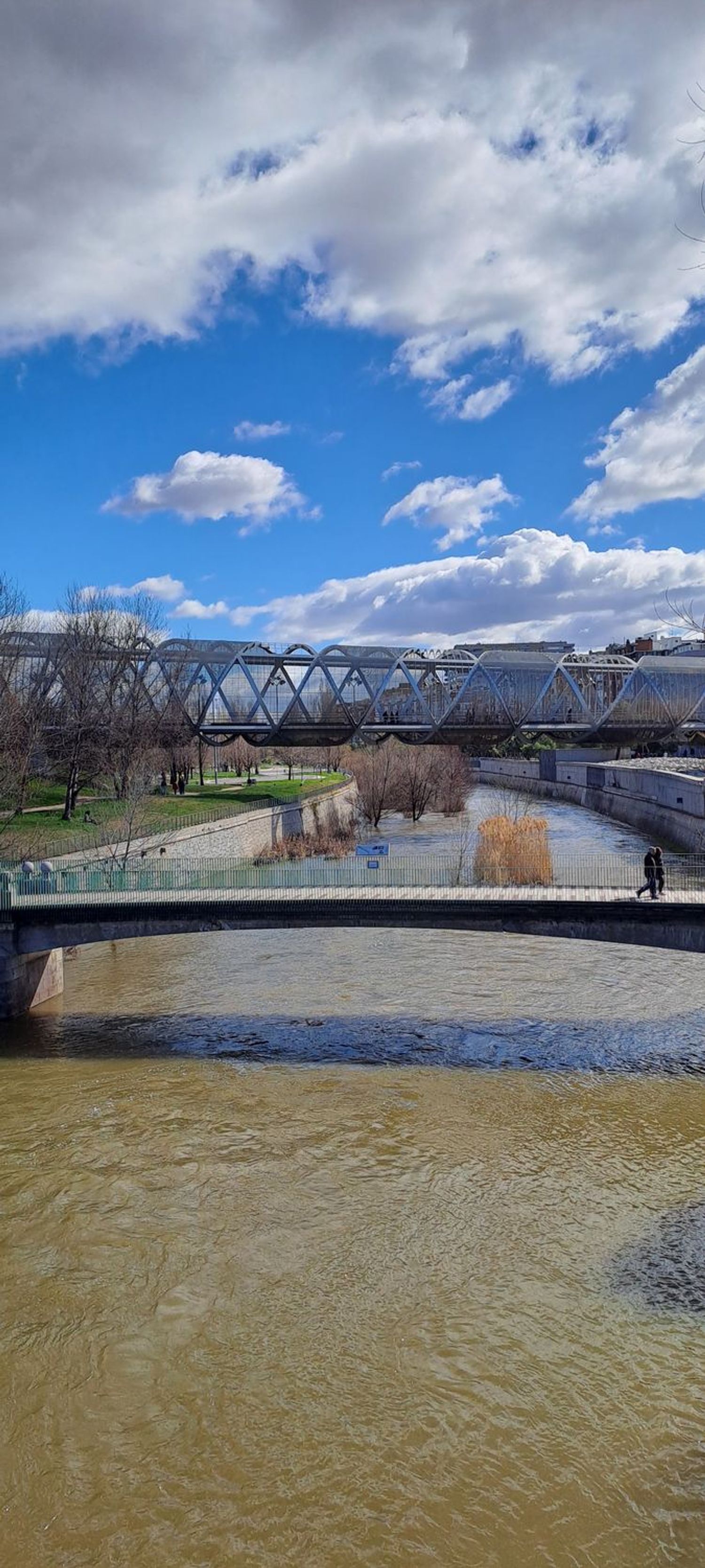 Estudio en calle de Antonio López, 23 - Foto 30