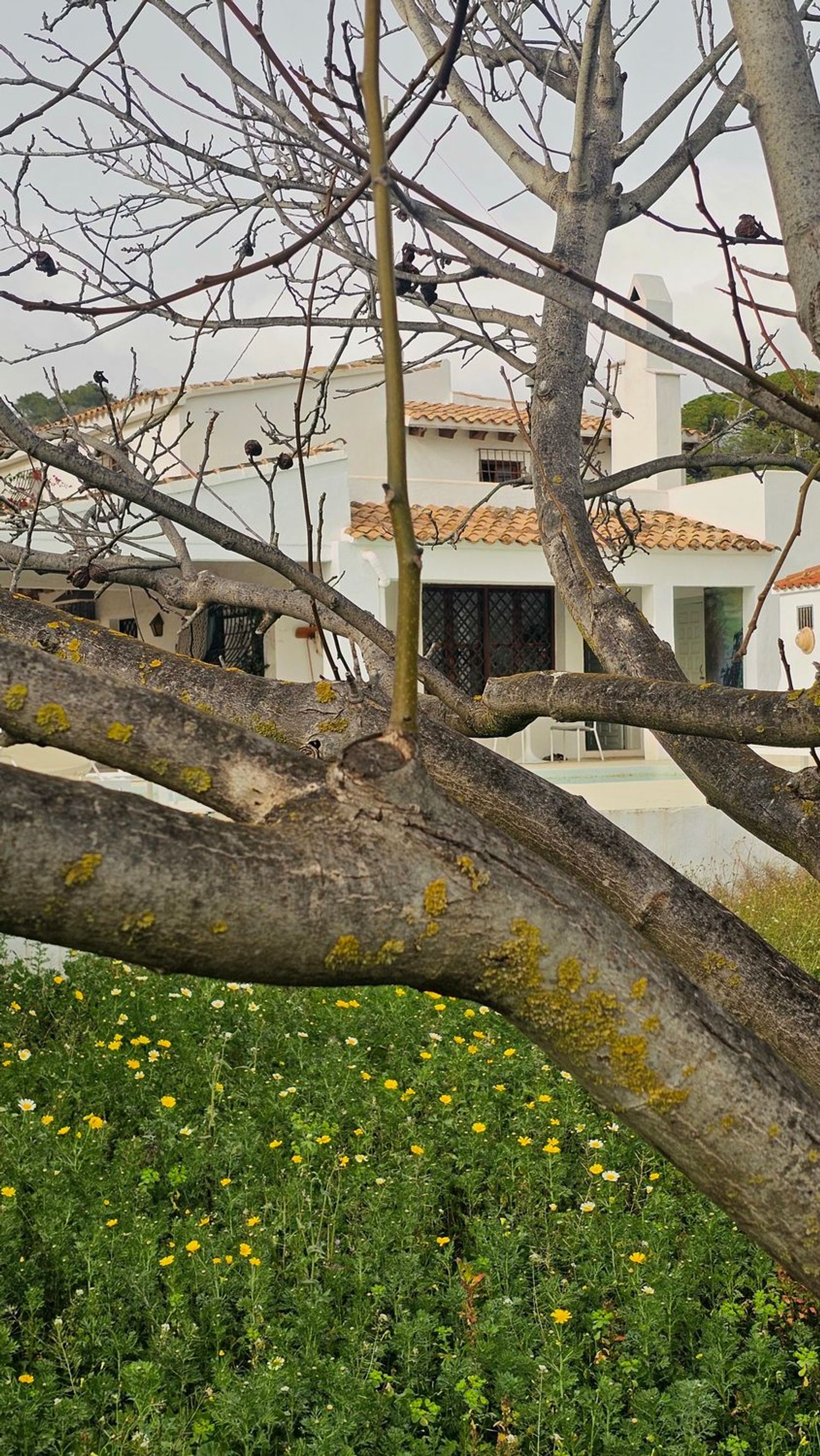 Casa rural en Altea Pueblo, Altea Pueblo - Foto 5