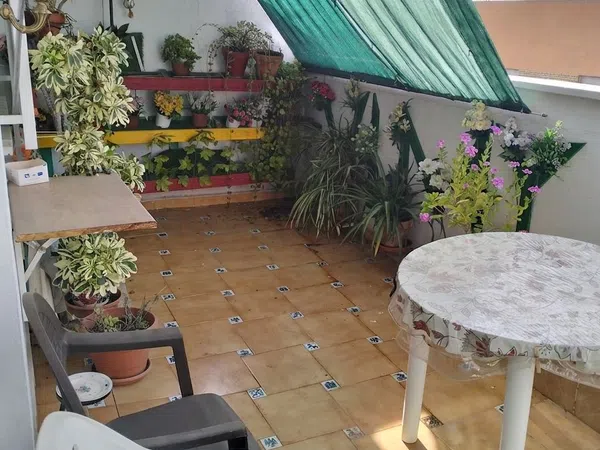 Ático en Avenida Miguel Hernández, 15 - Foto 3
