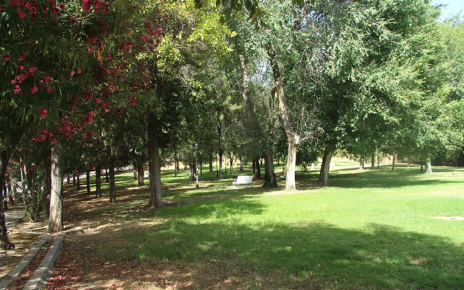 Piso en Calle Aixa la Horra, 8, Bola de Oro, Bola de Oro - Foto 29