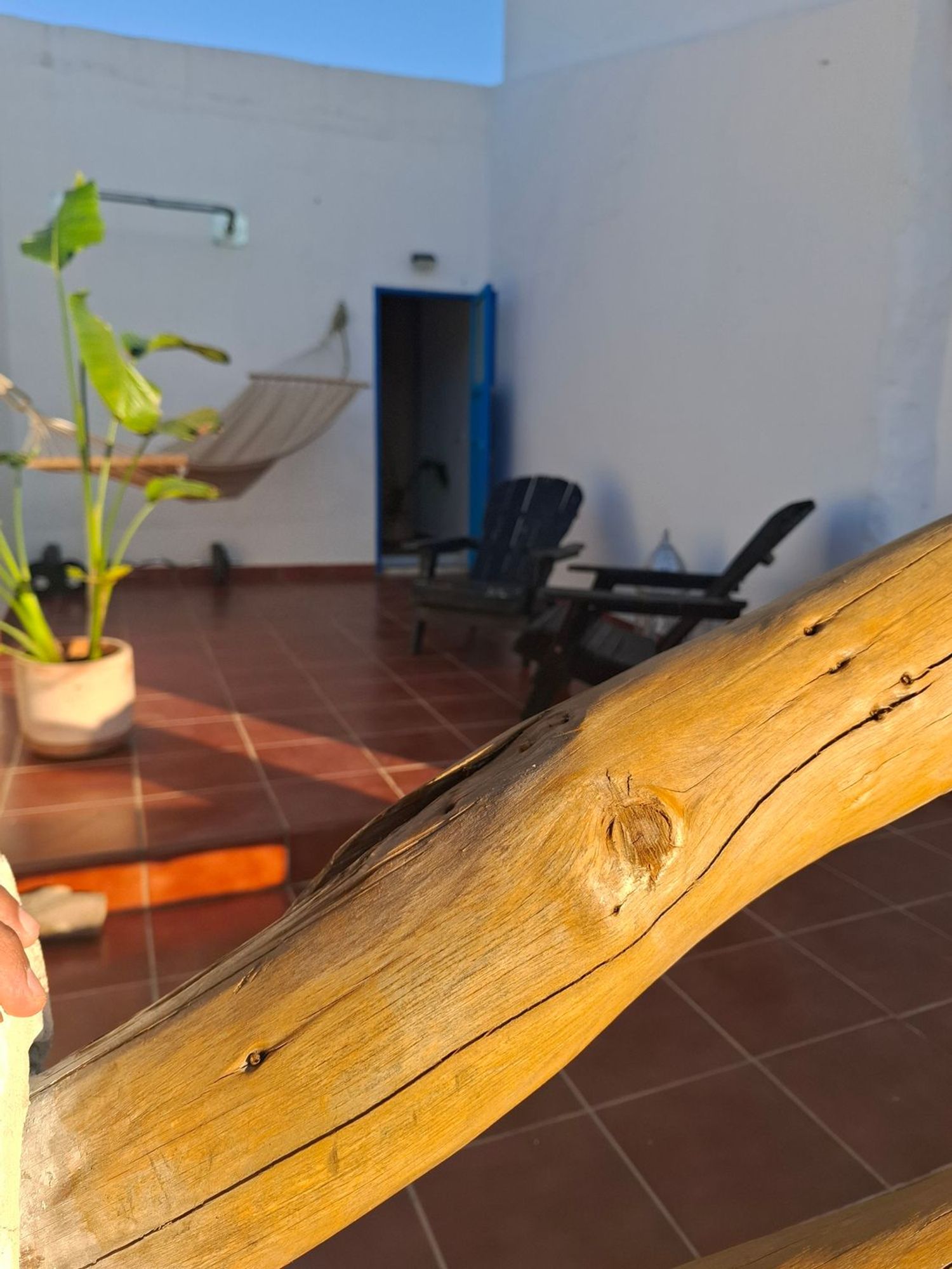 Casa rural en Pagos los llanos s/n - Foto 13