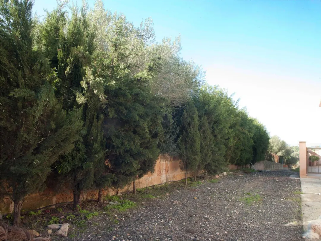 Finca rústica en  Diseminado 8725- Sa Casa Blanca 363 - Foto 12