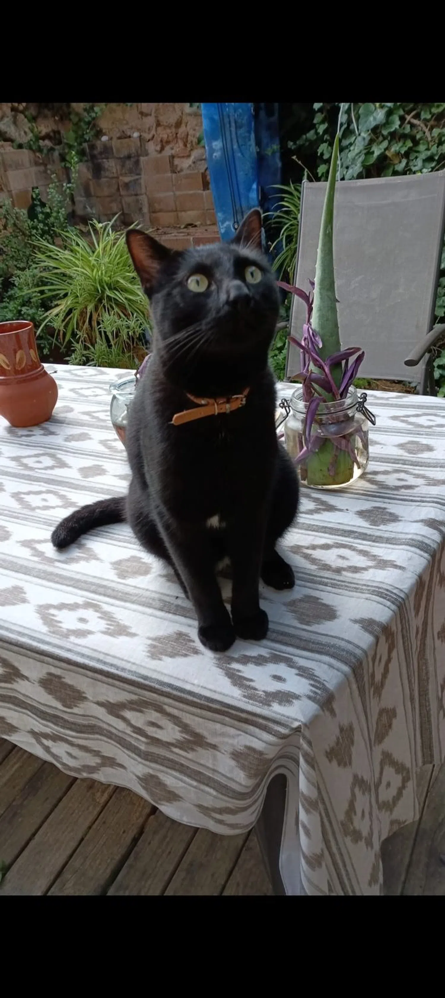 Casa de pueblo en calle de Campos, 34 - Foto 6