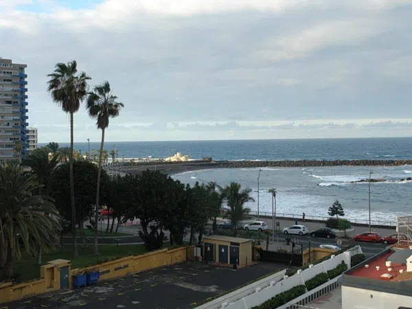 Estudio en Avenida de Cristobal Colón, 26 - Foto 1