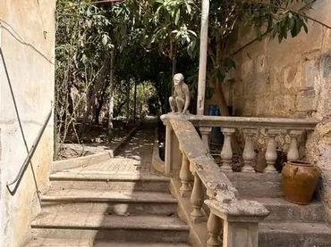 Planta baja en  Carrer D'En Francesc Gomila 48 - Foto 3