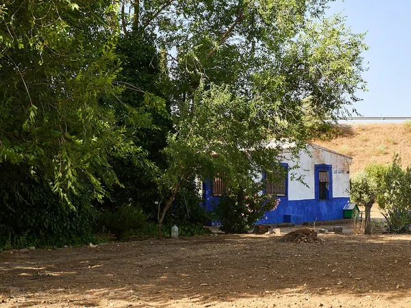 Finca rústica en Camino de la Mata s/n - Foto 27