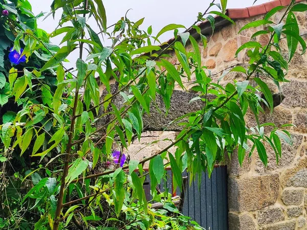 Casa de pueblo en Desteriz s/n - Foto 3