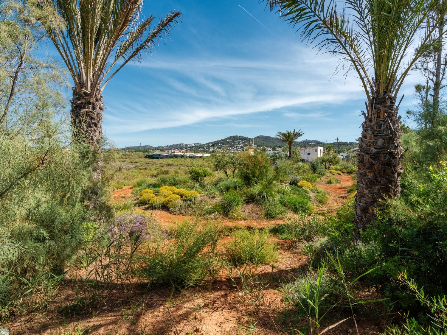 Casa rural en Camino ses Feixes, 46, Marina Botafoc - Talamanca, Marina Botafoc - Talamanca - Foto 36