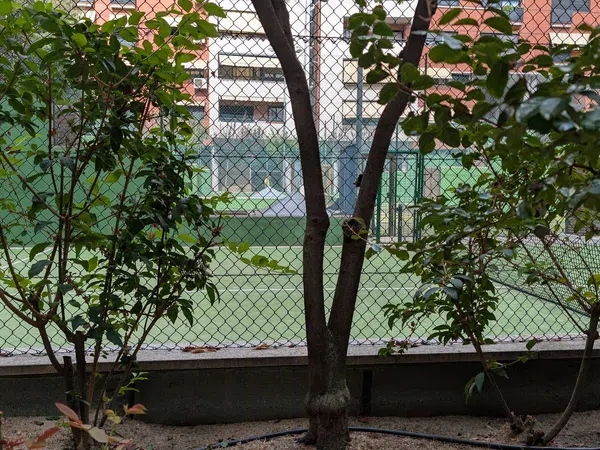 Piso en Calle Parque Bujaruelo, 9, Parque Lisboa - La Paz - Foto 33