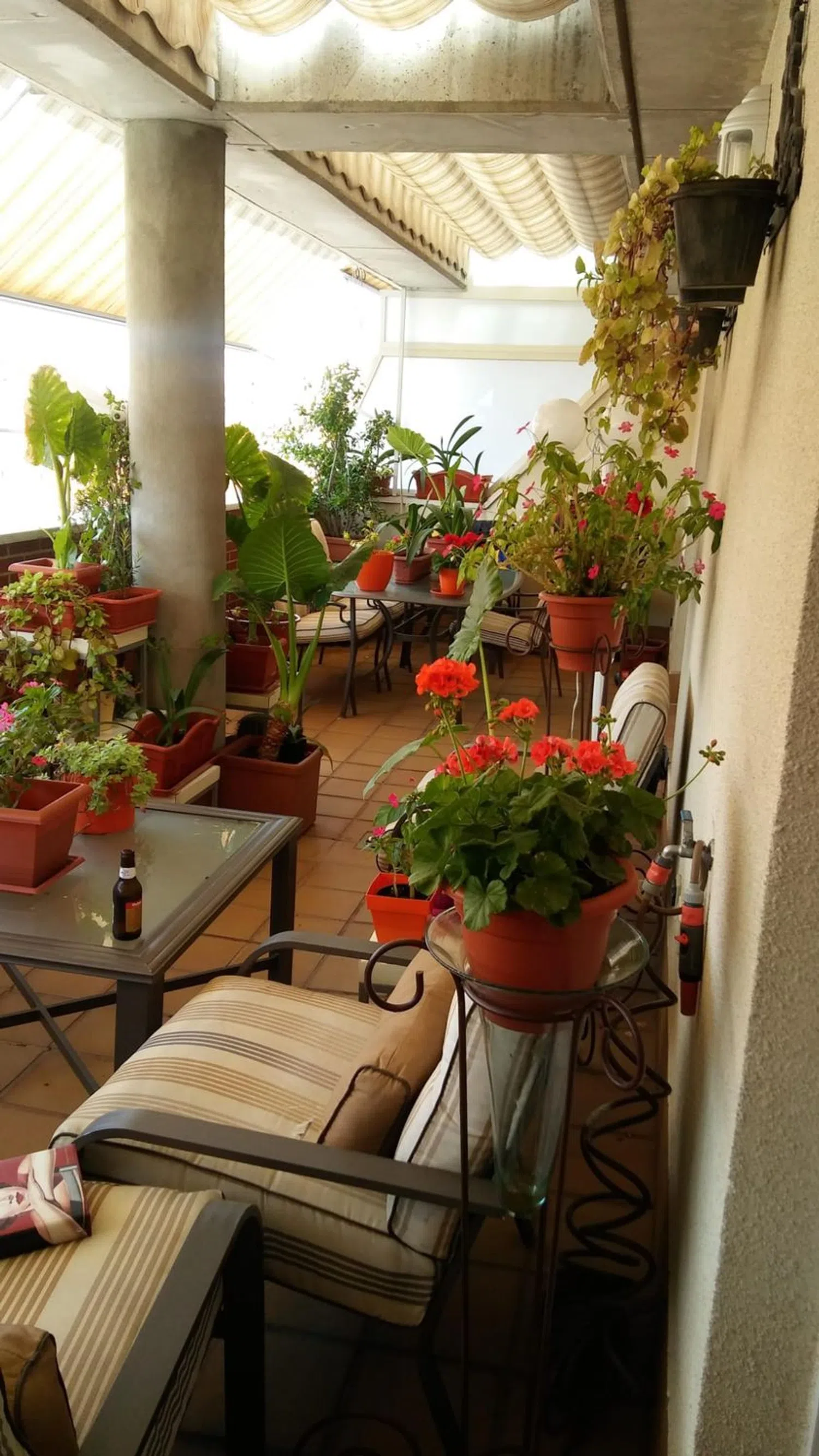 Ático en avenida del Doctor García Tapia, 226