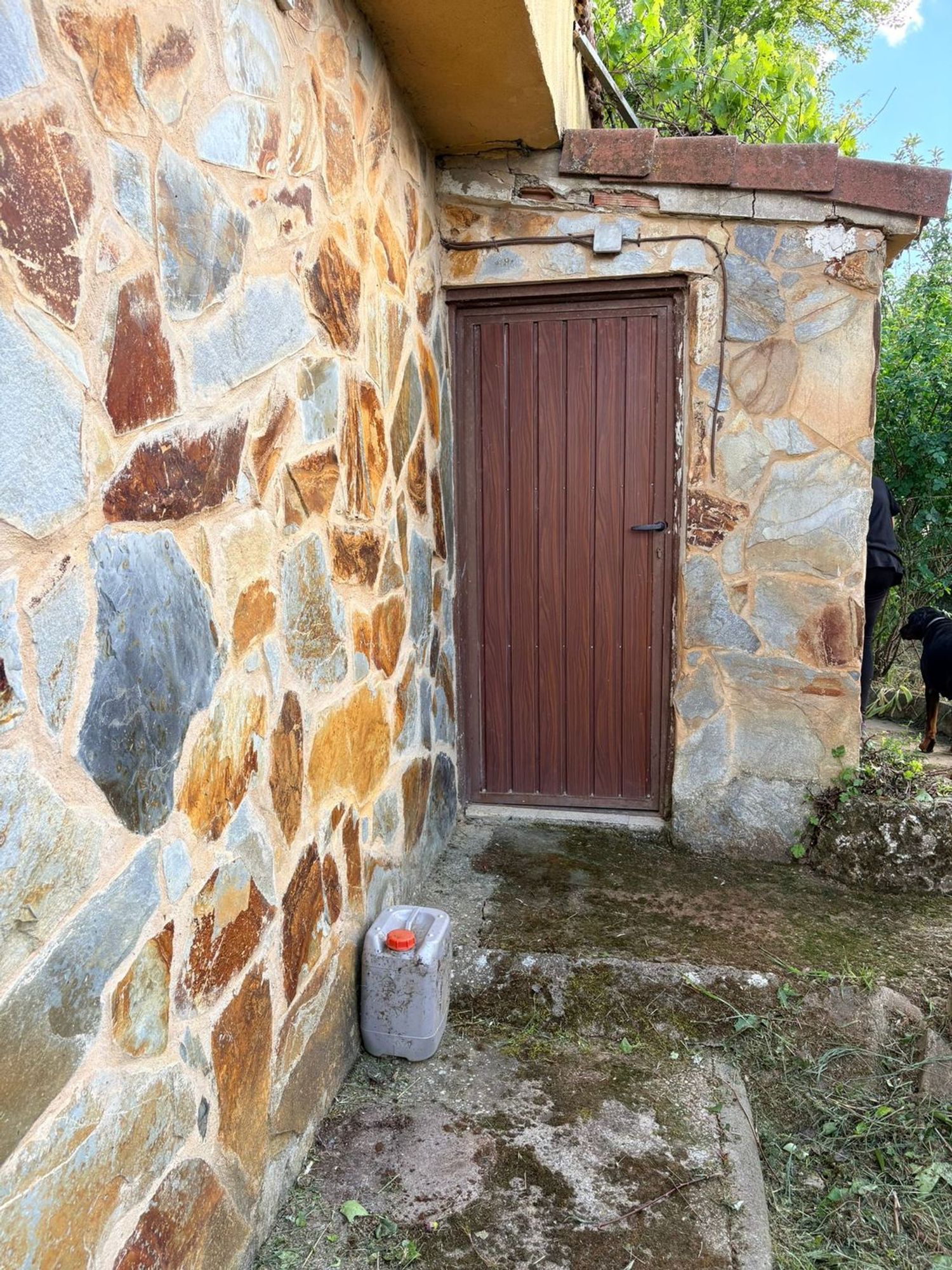 Finca rústica en Diseminado Bodegas, 1 - Foto 36