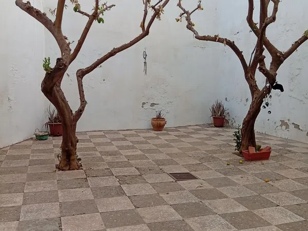 Estudio en Calle Relator, 37, Feria - Foto 6