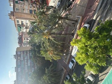 Piso en  Calle Fiscal Miguel Gutiérrez Carbonell 5 - Foto 5