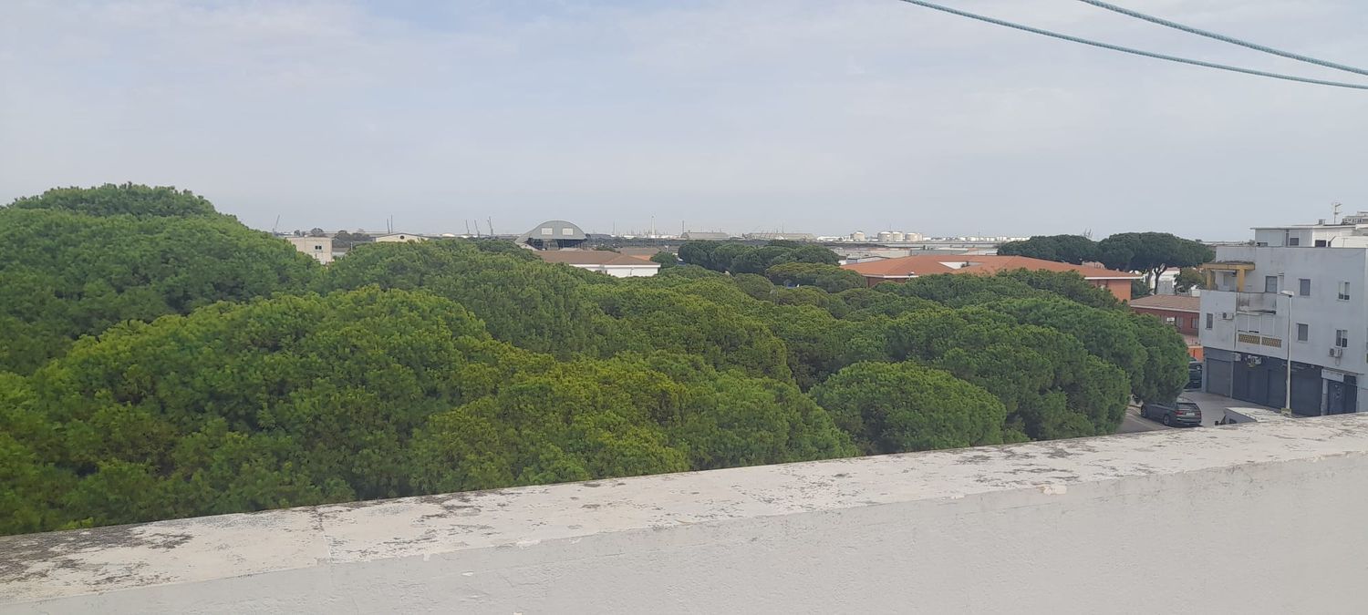 Dúplex en Plaza Helios, 8, Punta Umbría pueblo, Punta Umbría pueblo - Foto 23