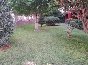 Piso en - Foto 4