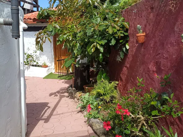 Casa rural en Bajada del Pino, 31, La Vega-El Amparo-Cueva del Viento, La Vega-El Amparo-Cueva del Viento - Foto 11