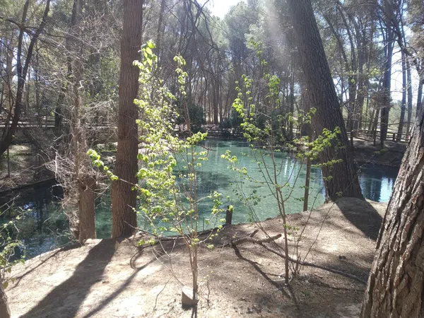 Casa independiente en camino de la Contienda a Sant Vicent, 7 - Foto 14