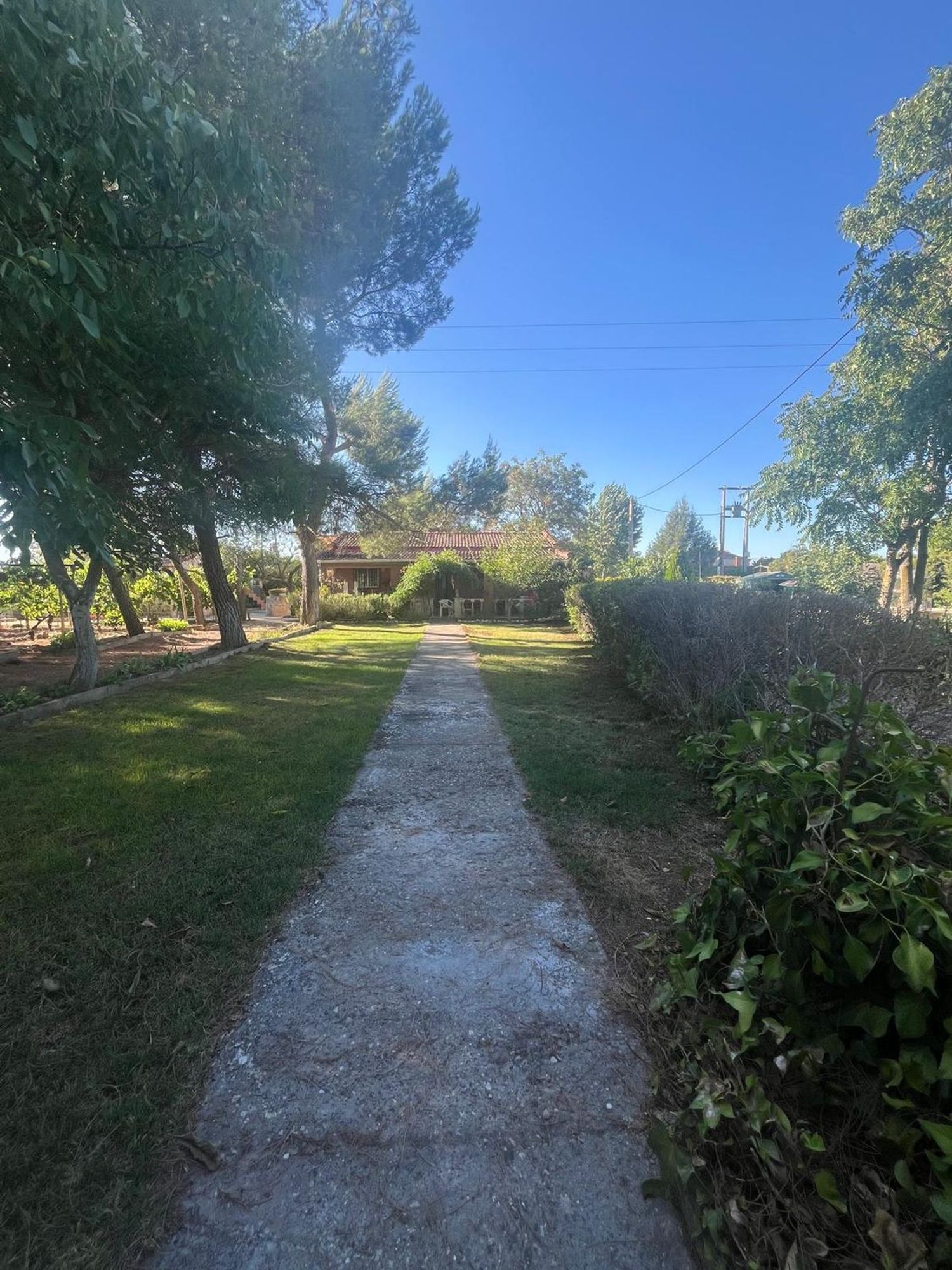 Casa o chalet independiente en Calle Diseminados, 264, La Aguilera - Costaján - Sinovas - La Calabaza, La Aguilera - Costaján - Sinovas - La Calabaza - Foto 2