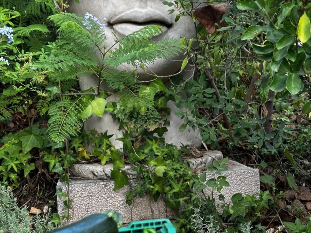 Chalet en  Calle de la Palmera 6 - Foto 43