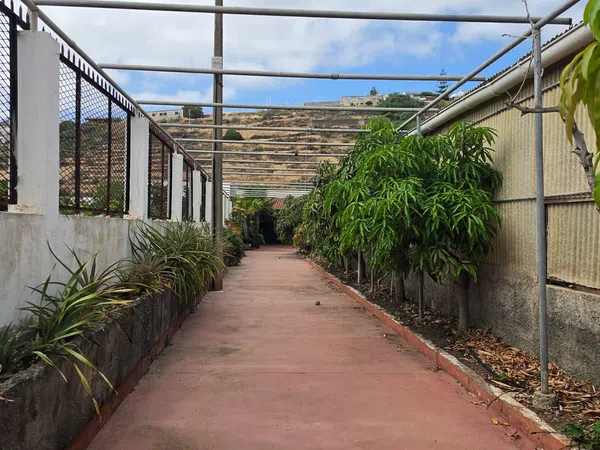Casa rural en Camino Sabro, 109, Tafira - Foto 3