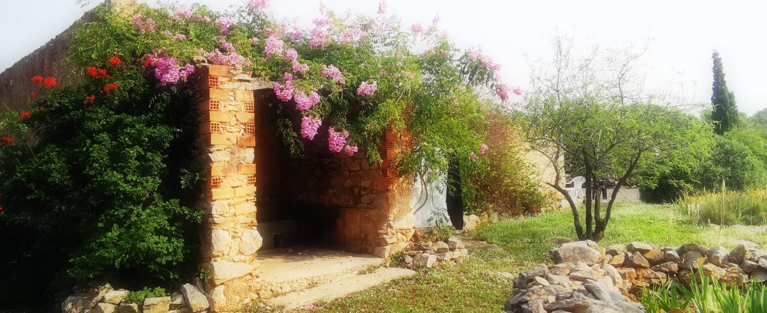 Finca rústica en Carretera de Vilafamés a Costur, 3 kilometro - Foto 3