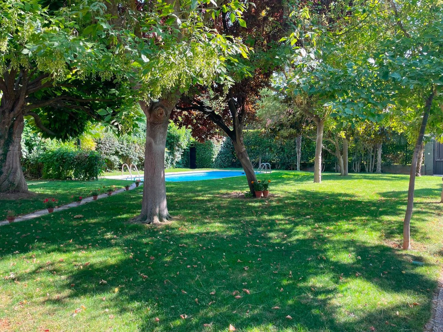 Casa o chalet independiente en Las Aves, Las Aves - Foto 3