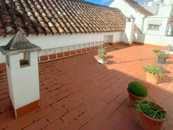 Casa o chalet independiente en Calle Ramón y Cajal, 24, Centro - Foto 16