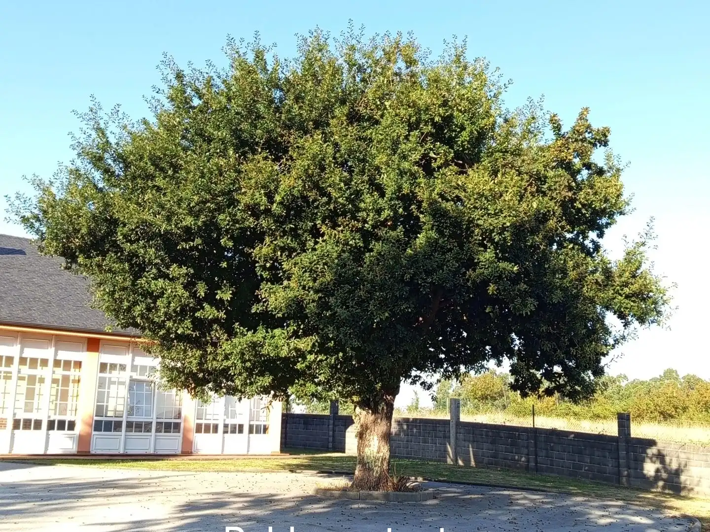 Chalet en  Rúa Figueiras 8 - Foto 47