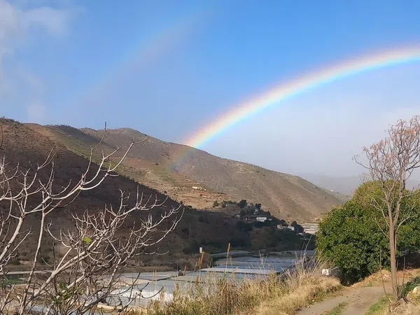 Cortijo en Cortijo en cercado, 22 - Foto 5