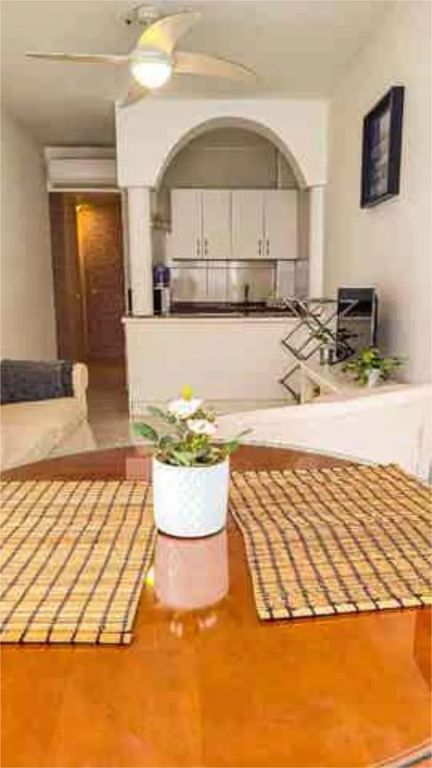 Piso en Malagueta - Foto 4