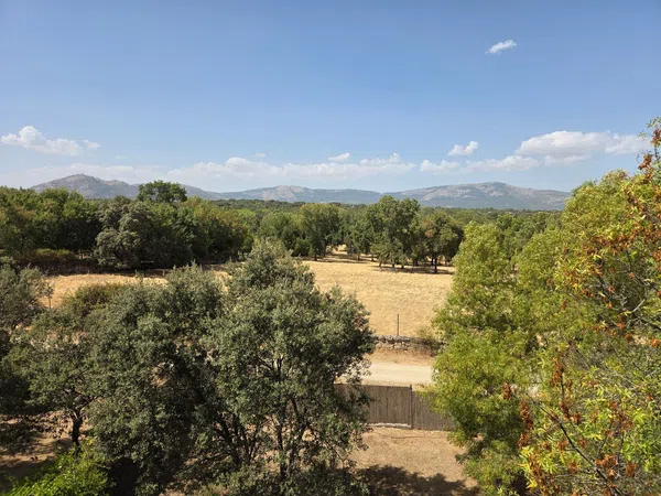 Casa o chalet independiente en Calle Infanta Carlota, 8, Mojadillas - Parque de las Infantas - El Paraiso, Mojadillas - Parque de las Infantas - El Paraiso - Foto 5