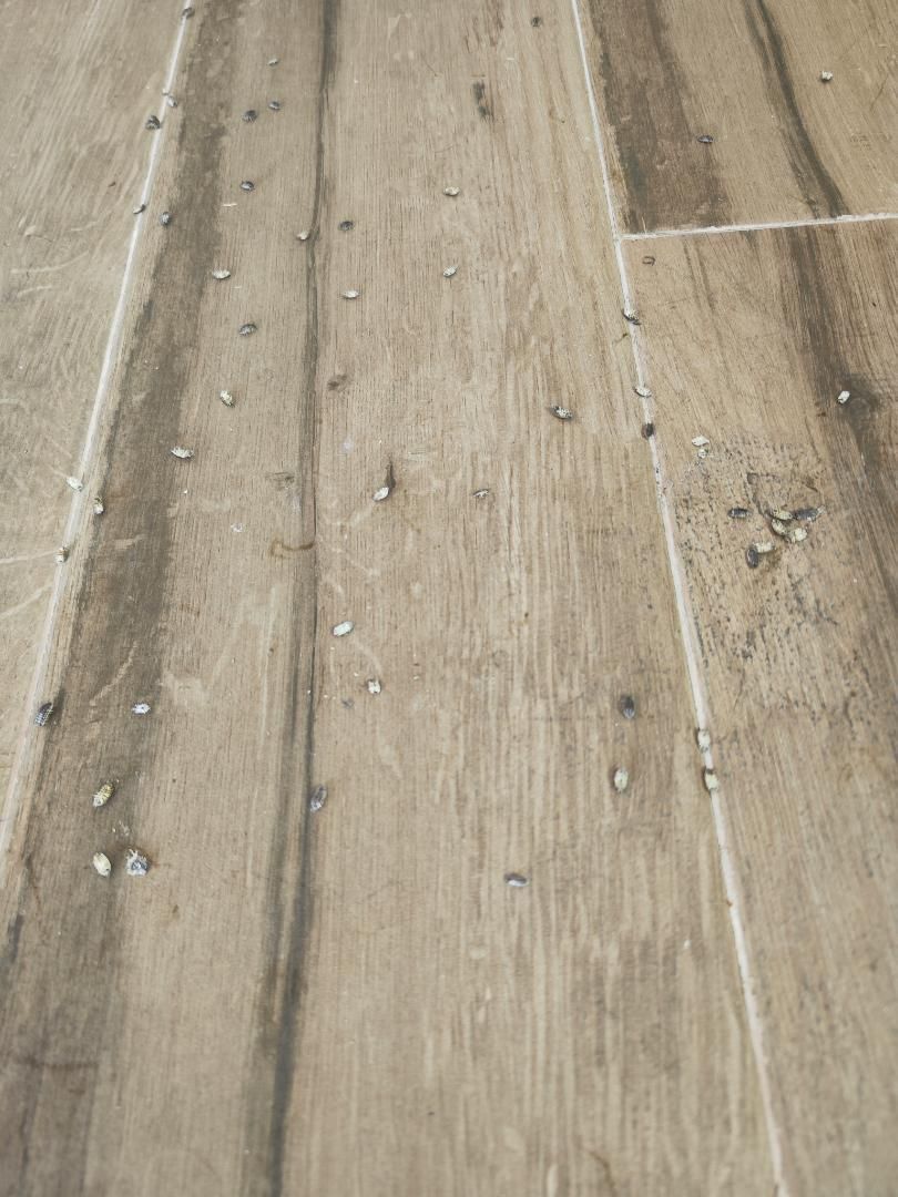 Piso en  Avenida Federico García Lorca 26 - Foto 25