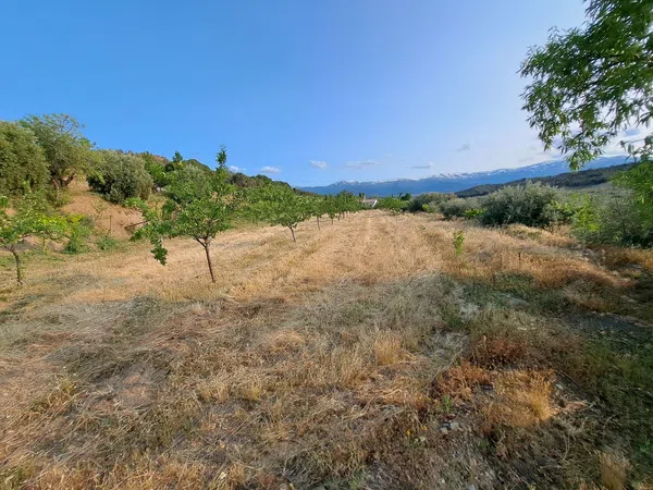 Cortijo en Camino del Castañar s/n - Foto 34