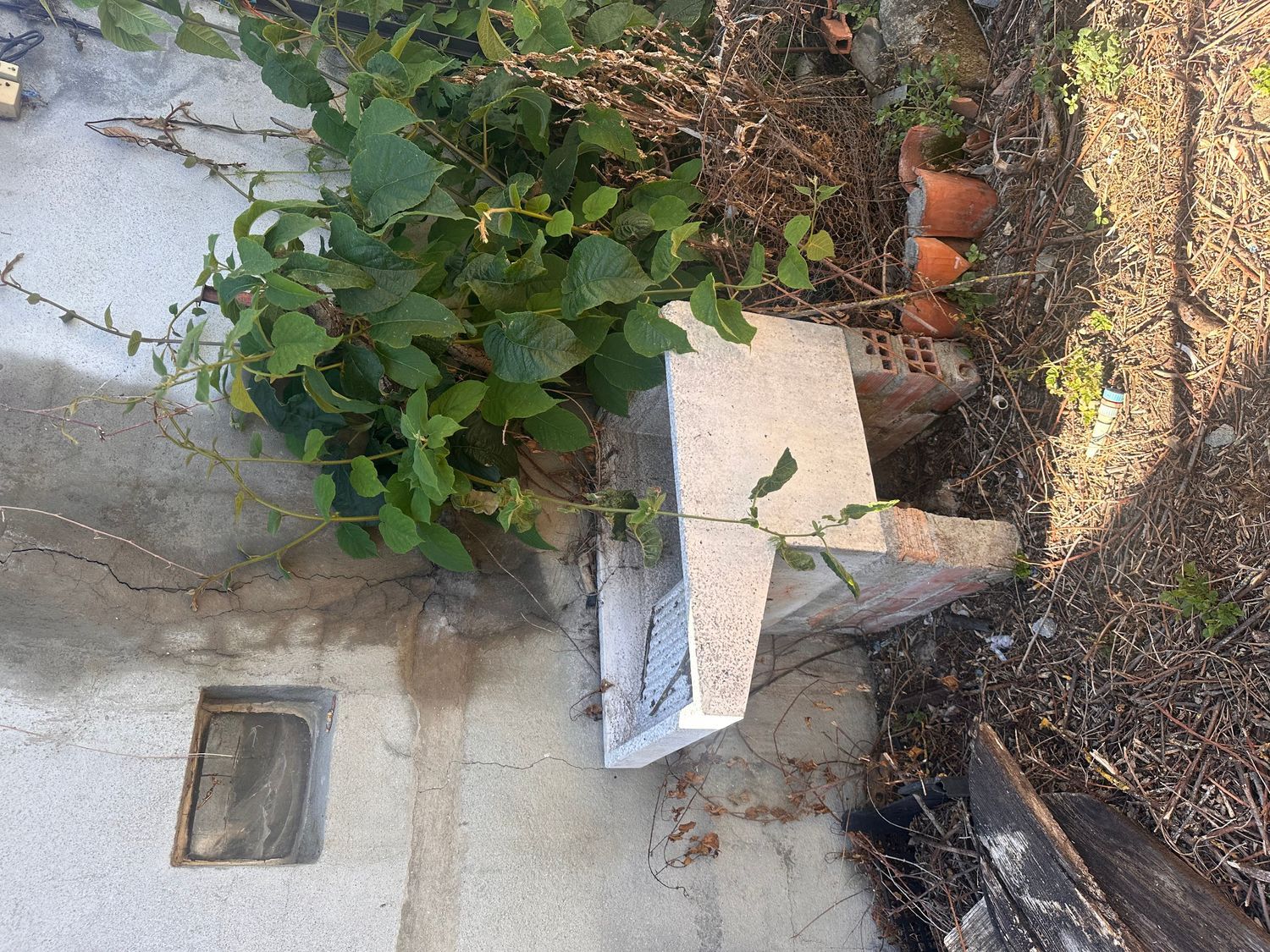 Casa de pueblo en Torre, 100 - Foto 13