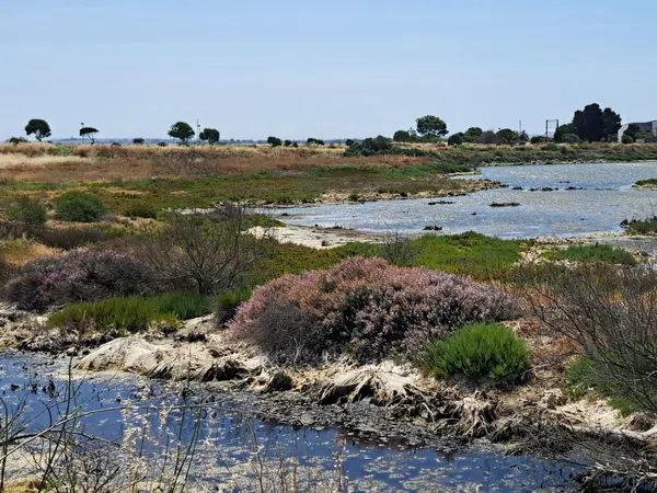 Estudio en Ronda del Estero, 50, Ronda del estero - Foto 27