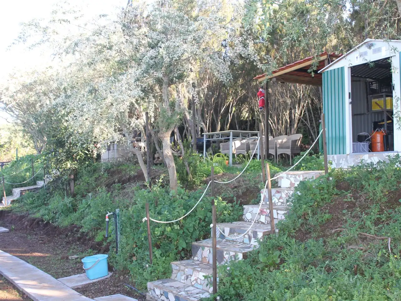Finca rústica en  Calle la Unión 1 - Foto 6